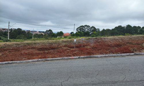 WhatsApp Image 2024-01-25 at 10.06.56