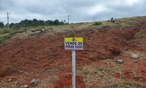 WhatsApp Image 2024-01-25 at 10.29.02