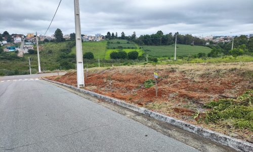 WhatsApp Image 2024-01-25 at 10.29.03