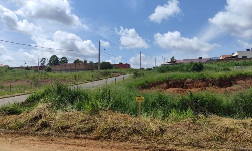 WhatsApp Image 2024-02-29 at 11.19.09 (1)