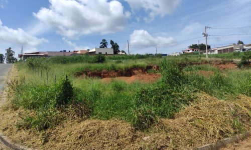 WhatsApp Image 2024-02-29 at 11.19.09