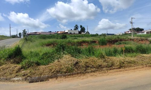 WhatsApp Image 2024-02-29 at 11.19.10 (1)