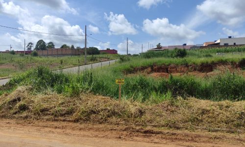 WhatsApp Image 2024-02-29 at 11.19.10