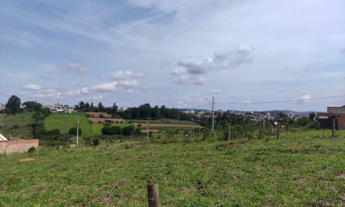 WhatsApp Image 2024-02-29 at 11.19.12 (1)