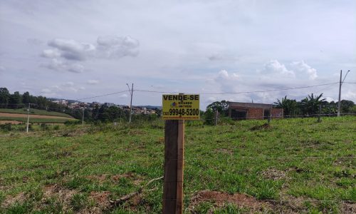 WhatsApp Image 2024-02-29 at 11.19.12