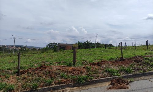 WhatsApp Image 2024-02-29 at 11.19.13 (1)