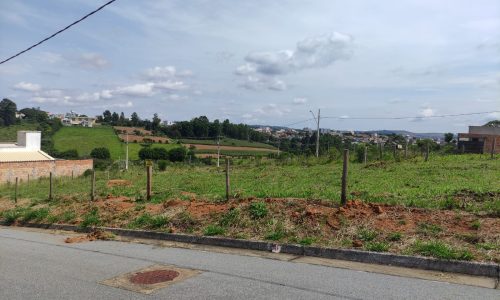 WhatsApp Image 2024-02-29 at 11.19.13