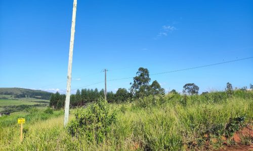 WhatsApp Image 2024-06-24 at 09.18.45