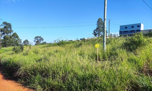 WhatsApp Image 2024-06-24 at 09.18.46 (1)