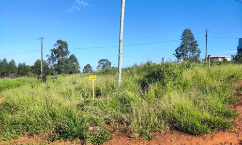 WhatsApp Image 2024-06-24 at 09.18.46 (2)