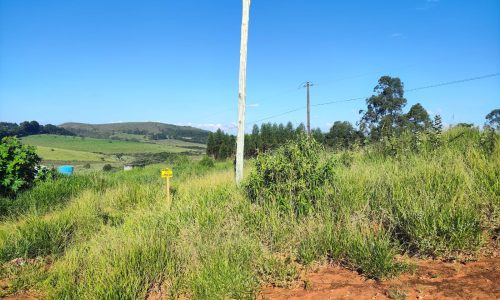 WhatsApp Image 2024-06-24 at 09.18.46