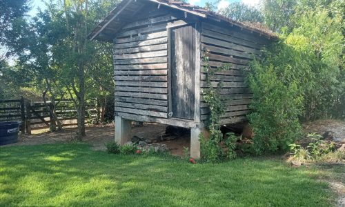 WhatsApp Image 2024-06-25 at 13.23.01