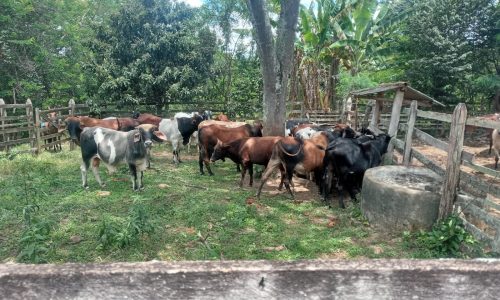 WhatsApp Image 2024-06-25 at 13.23.04