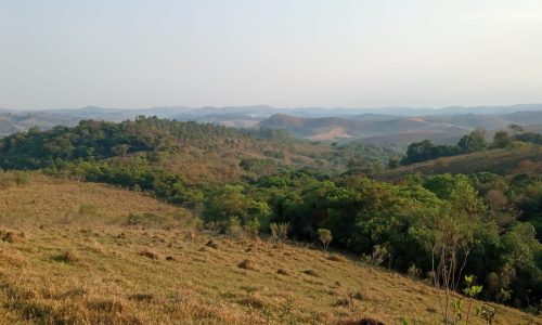 WhatsApp Image 2024-06-25 at 13.23.05 (2)