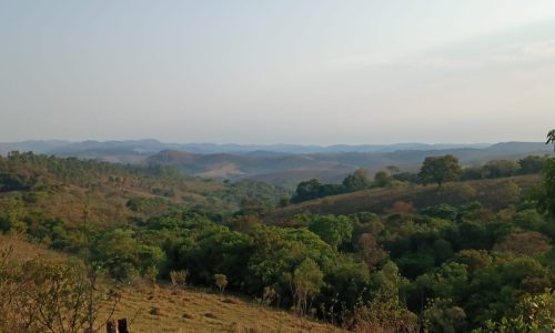 WhatsApp Image 2024-06-25 at 13.23.06 (1)