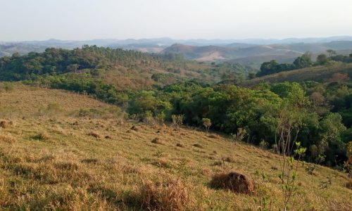 WhatsApp Image 2024-06-25 at 13.23.06