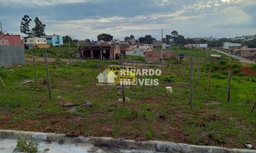 WhatsApp Image 2024-12-10 at 10.51.39 (1)