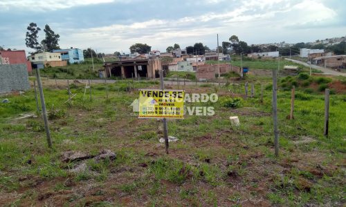 WhatsApp Image 2024-12-10 at 10.51.39