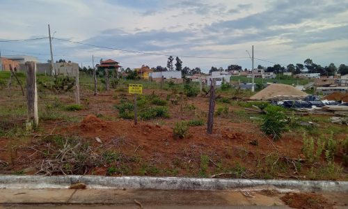 WhatsApp Image 2024-12-10 at 10.52.31