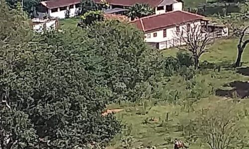 WhatsApp Image 2025-02-21 at 09.08.14 (1)