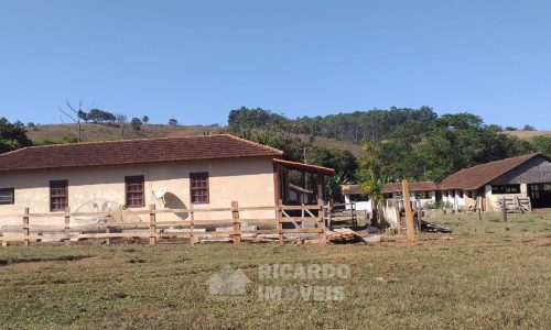 WhatsApp Image 2025-02-21 at 09.08.14 (2)