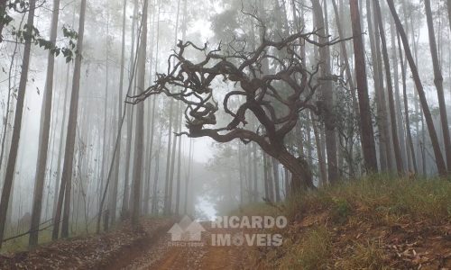 WhatsApp Image 2025-02-21 at 09.08.14