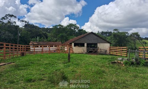 WhatsApp Image 2025-02-21 at 09.08.15 (1)