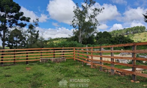 WhatsApp Image 2025-02-21 at 09.08.15 (2)