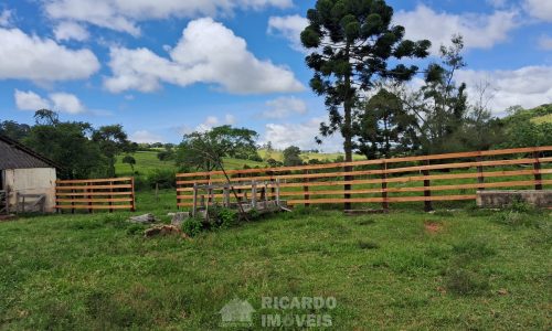 WhatsApp Image 2025-02-21 at 09.08.15 (3)