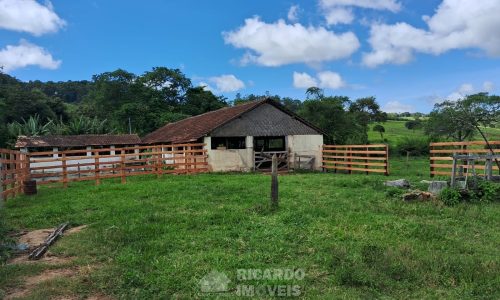 WhatsApp Image 2025-02-21 at 09.08.15 (4)