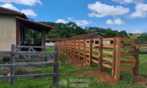 WhatsApp Image 2025-02-21 at 09.08.16 (1)