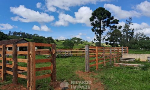 WhatsApp Image 2025-02-21 at 09.08.16