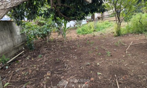 WhatsApp Image 2026-01-20 at 14.36.54 (2)