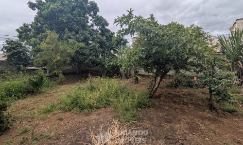 WhatsApp Image 2026-01-20 at 14.36.54