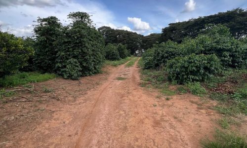 WhatsApp Image 2026-03-03 at 15.27.34 (1)