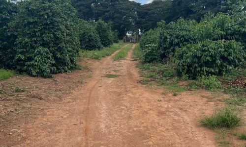 WhatsApp Image 2026-03-03 at 15.27.35 (1)