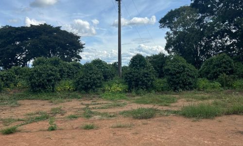 WhatsApp Image 2026-03-03 at 15.27.35 (2)