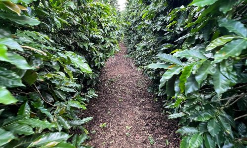 WhatsApp Image 2026-03-03 at 15.27.35 (3)