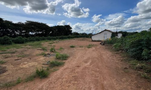 WhatsApp Image 2026-03-03 at 15.27.35