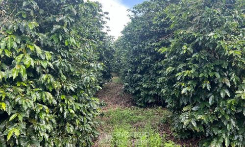 WhatsApp Image 2026-03-03 at 15.27.36 (2)