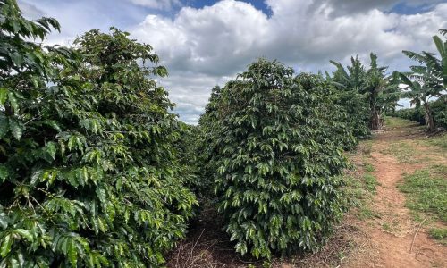 WhatsApp Image 2026-03-03 at 15.27.36 (3)