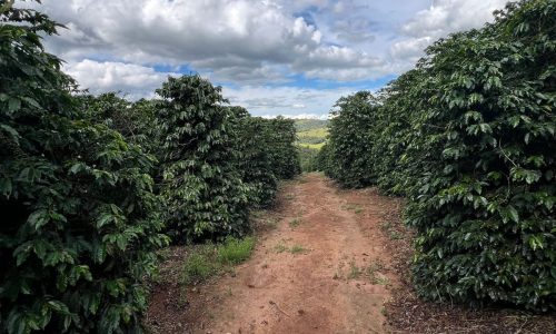 WhatsApp Image 2026-03-03 at 15.27.36