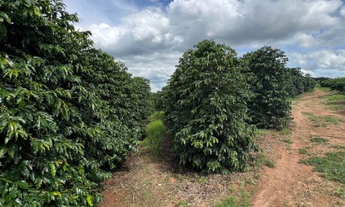 WhatsApp Image 2026-03-03 at 15.27.37 (1)