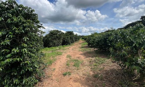 WhatsApp Image 2026-03-03 at 15.27.37