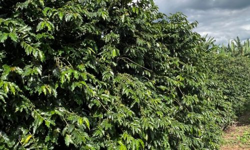 WhatsApp Image 2026-03-03 at 15.27.38