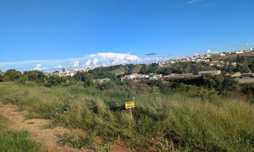 WhatsApp Image 2026-04-09 at 16.46.21