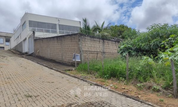 lote (1)