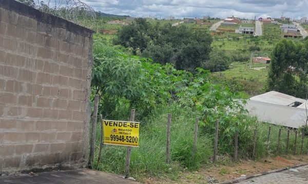 lote (4)