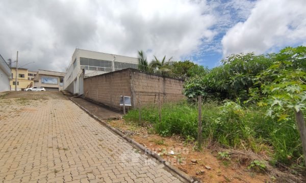 lote (5)