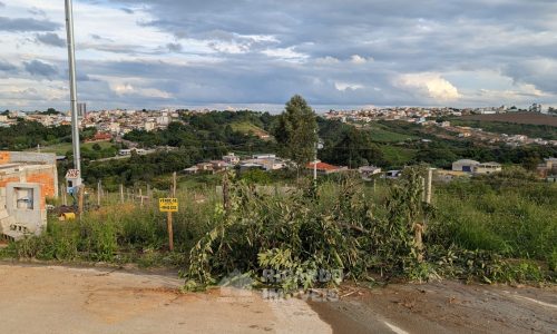 meio Lote Nat Q X (1)